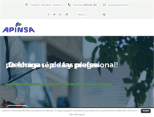 Tablet Screenshot of apinsa.com